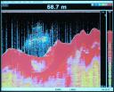 A photo of the Loch Ness monster on the sonar screen