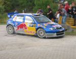 Rally Germany